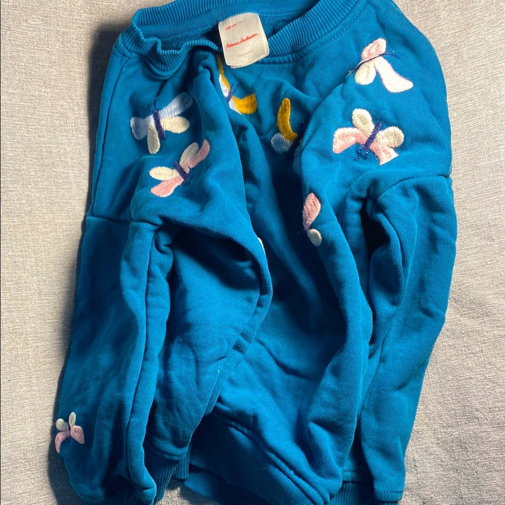 Hanna Andersson Vibrant Blue Sweater with Embroidered Accents